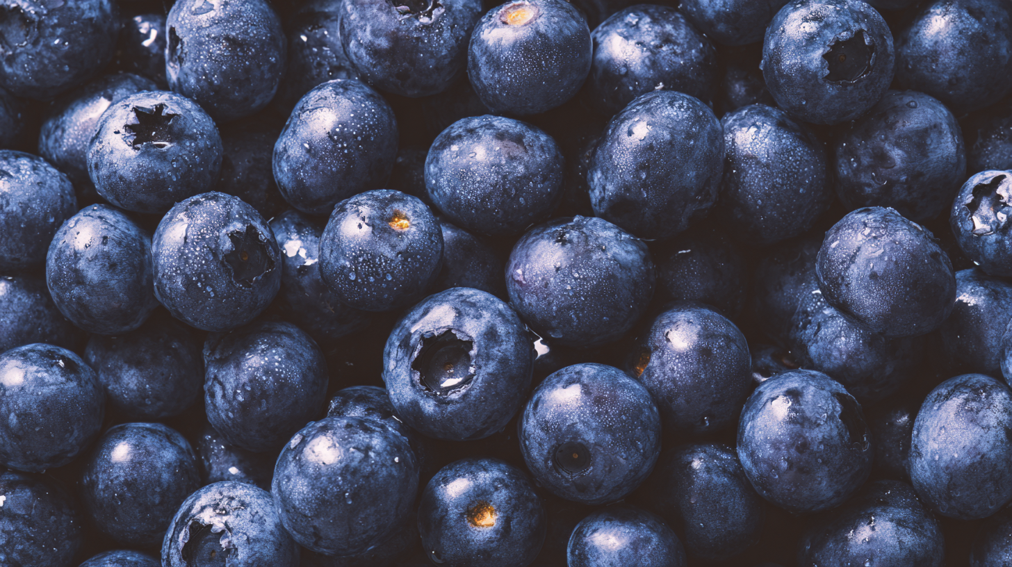 Blueberries on a warm ground